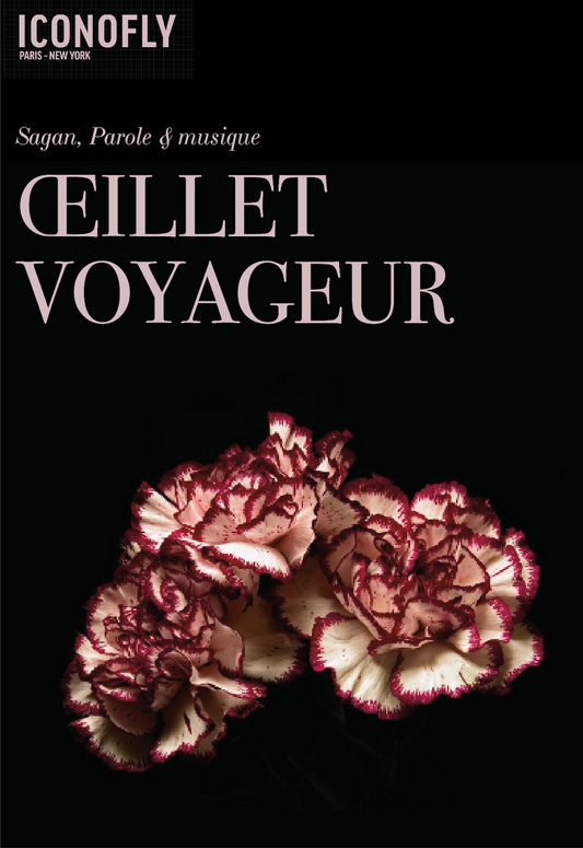 Œillet Voyageur 1